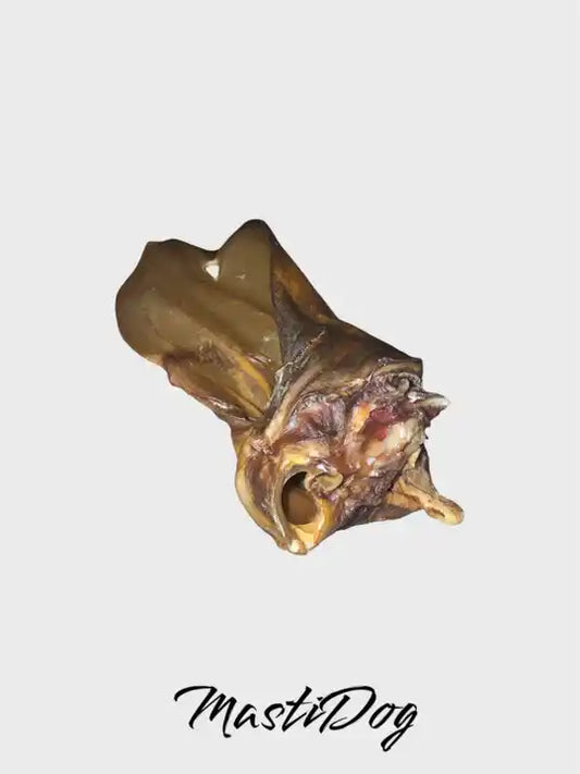 Oreille de bœuf sans poils