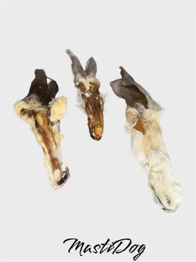Oreille de lapin