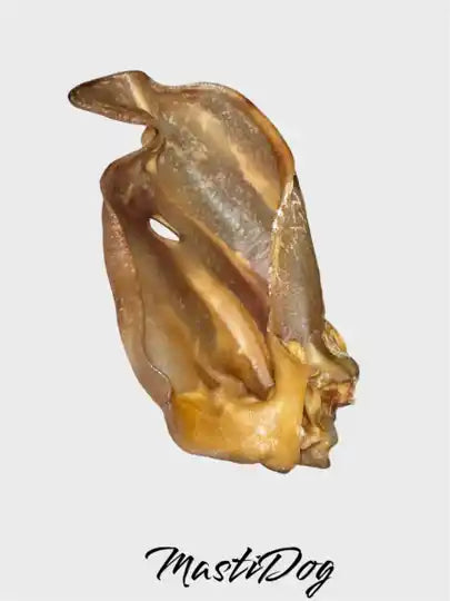 Oreille de Porc